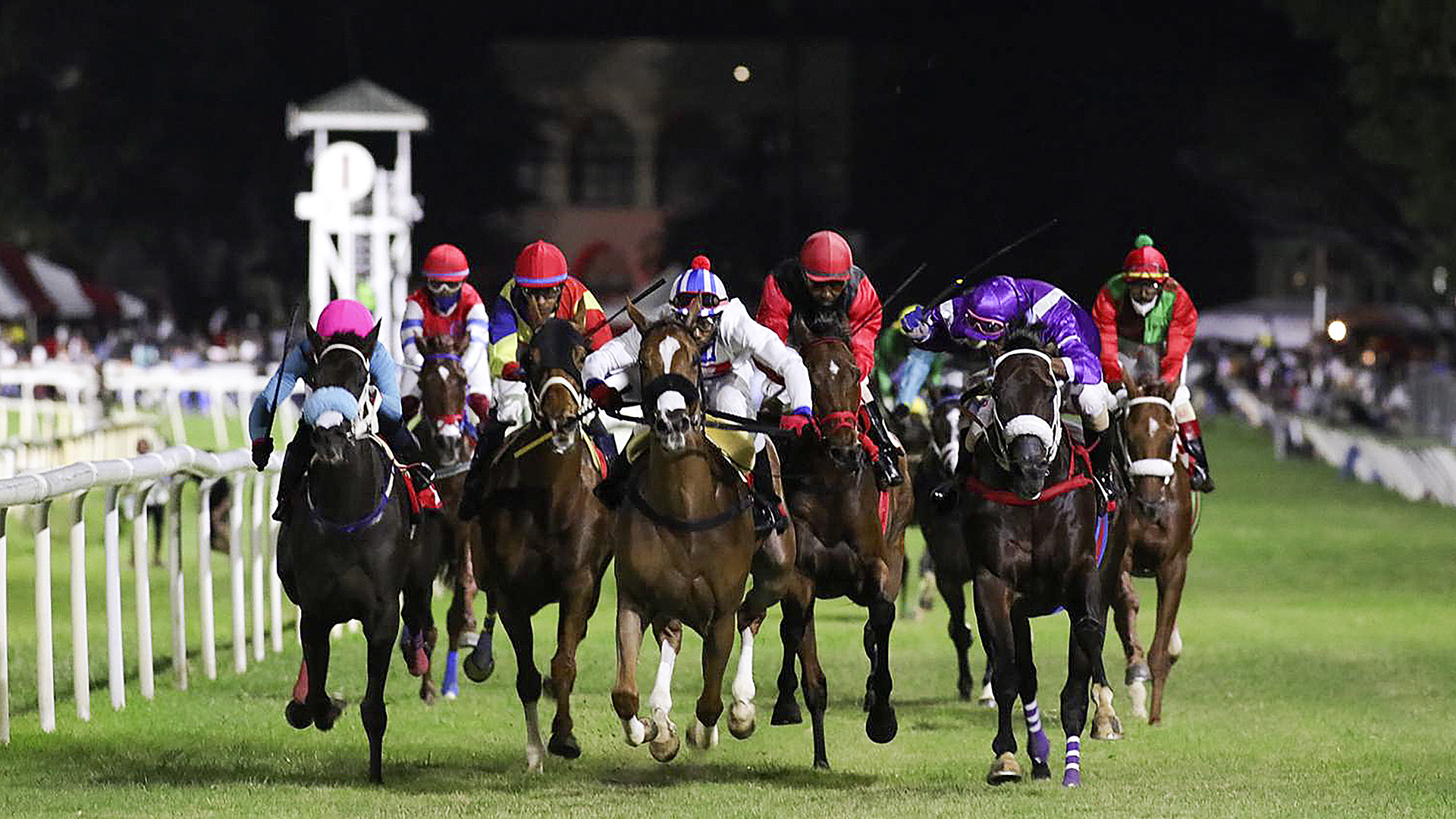 jockeys and horses racing